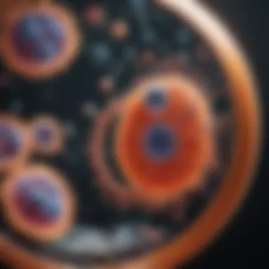 Artistic representation of HeLa cell division