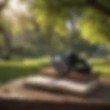 A person enjoying an audiobook in a serene park setting