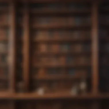 Library of Historical Wisdom Artistic depiction of a historical bookshelf filled with knowledge and wisdom