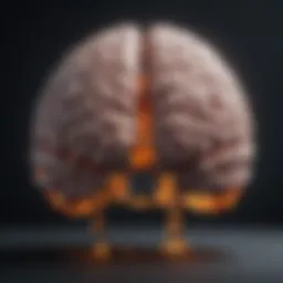Visual representation of brain activity