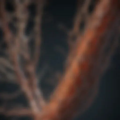 A conceptual representation of habit formation with neural pathways.