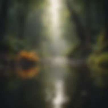 A serene environment illustrating the importance of surroundings in behavior change.