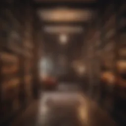 A serene library with shelves filled with diverse books