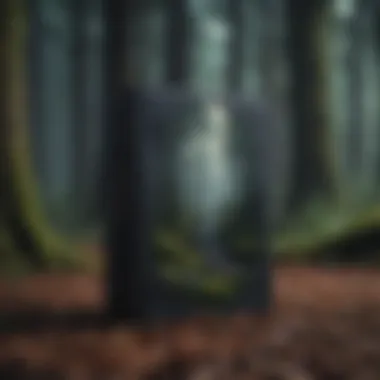 Enigmatic Tales: Mysteries of the Dark Forest Cover of a book with a mysterious dark forest theme
