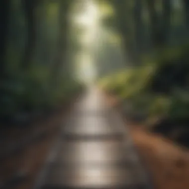 Enlightened Path Enlightened Path - Tranquil Journey Reflection