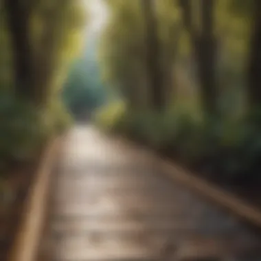 Enlightened Pathways Enlightened Pathways