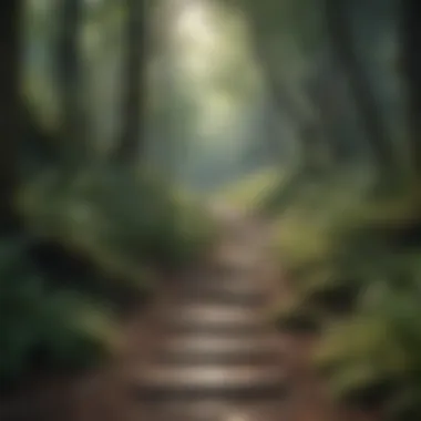 Journey of Life A winding path through a forest illustrating the journey of life