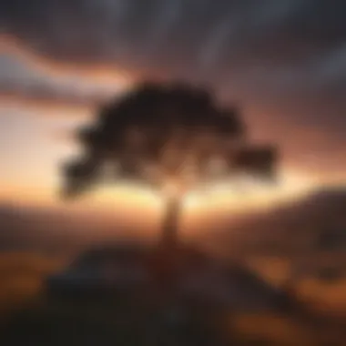 Silhouette of a lone tree against a dramatic sunset sky