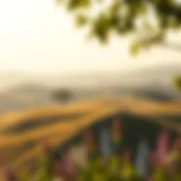 Concept of self-compassion illustrated through a serene landscape.