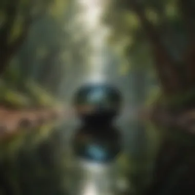 The Cyclic Nature of Existence A peaceful nature scene depicting the cyclic nature of life.