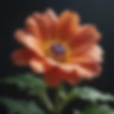 The Essence of Growth A close-up of a blooming flower, epitomizing growth and transformation.