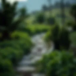 A serene landscape depicting a winding path through lush greenery, symbolizing life's journey