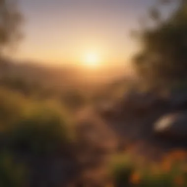 A tranquil landscape with a sunrise, embodying new beginnings and insights.