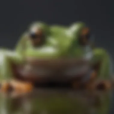Facing Challenges Head-On A metaphorical frog symbolizing overcoming challenges