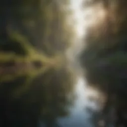 A serene landscape symbolizing introspection and reflection