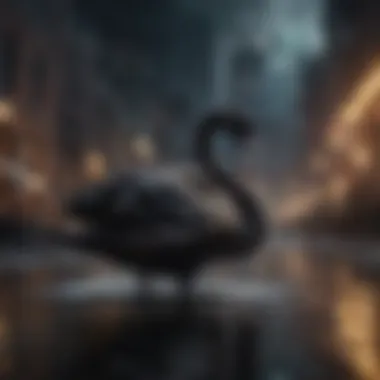 Financial Implications of the Black Swan Impact of high-impact events on finance