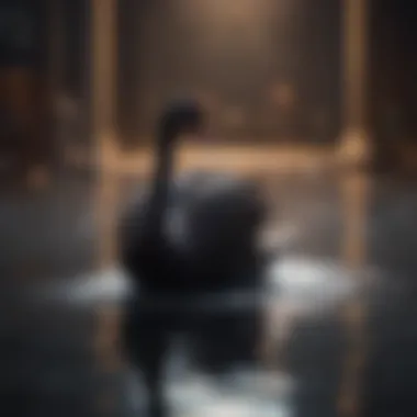 Visual metaphor for black swan events