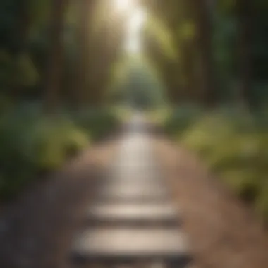 Pathway to a Brighter Future A pathway leading to a brighter future