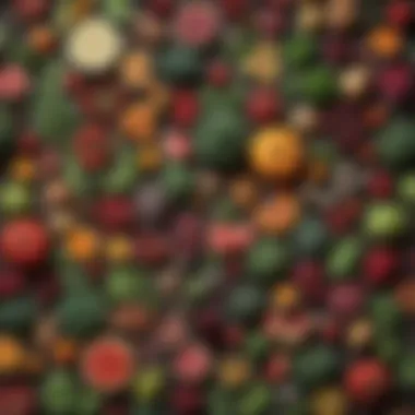 Diverse Plant Foods A visually striking array of diverse plant foods highlighting the paradox of plant-based diets.