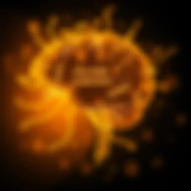 The Power of Words on the Mind A brain illuminated by inspirational quotes
