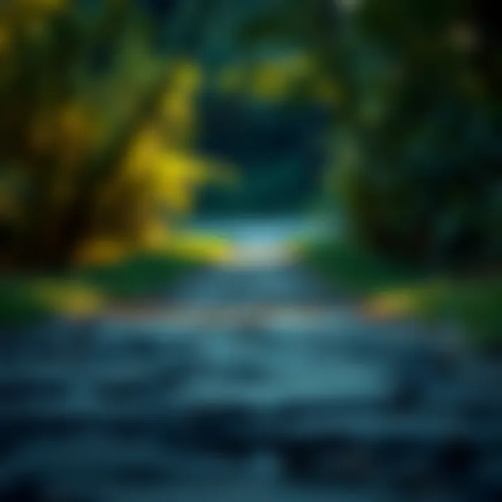 A pathway leading towards personal growth