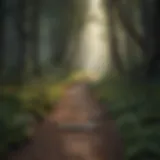 A winding path through a tranquil forest, symbolizing the journey less traveled.