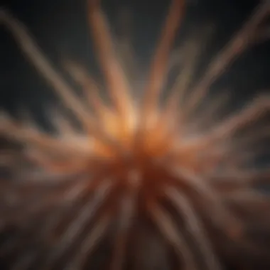 Habit Formation Abstract visualization of habit formation