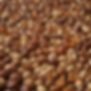 Rich selection of nuts and seeds packed with nutrients A selection of nuts and seeds highlighting healthy fats