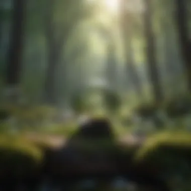 Harmonizing with Nature for Mindfulness Illustration of Mindfulness in Nature