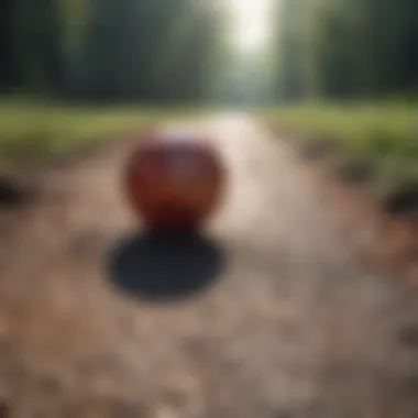 Embracing the Path to Success Success Journey Quote