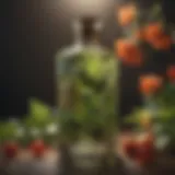 Botanical Elixir