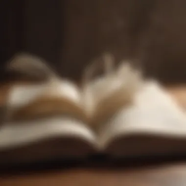 Wisdom in Motion An open book with pages turning in a gentle breeze