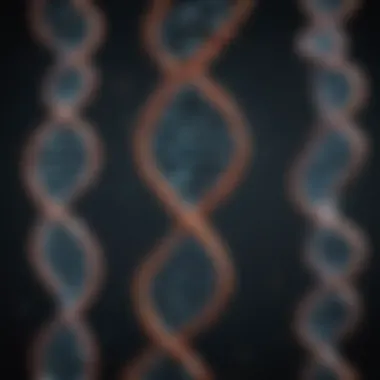 Intricate Dance of DNA Molecules