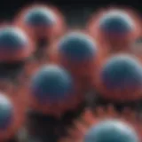 Intricate microscopic analysis of HeLa cells
