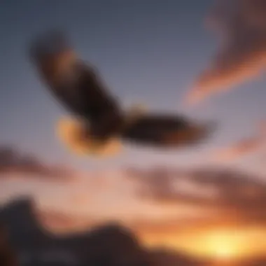 Majestic eagle soaring high against a vibrant sunset