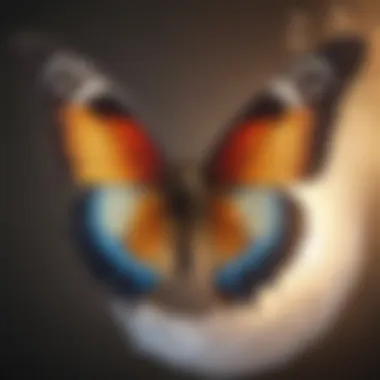 Symbolic representation of a butterfly emerging from a cocoon