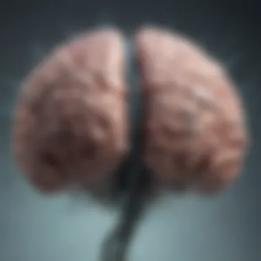 Illustration of a brain with interconnected neurons representing a growth mindset