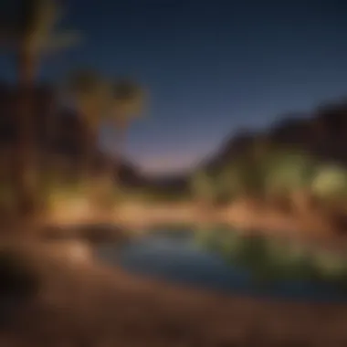 Enigmatic Desert Oasis Mystical desert oasis under shimmering moonlight