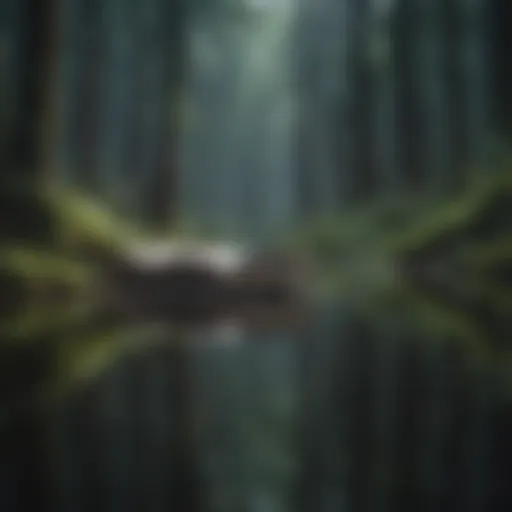 Mystical Forest Reflections