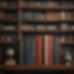 Illustration depicting a bookshelf filled with financial literature