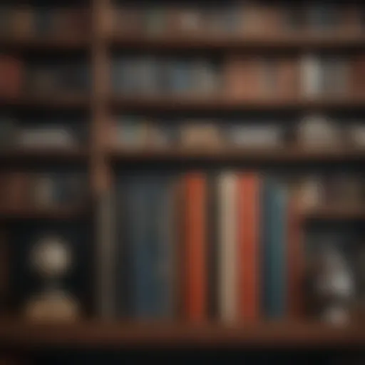 Illustration depicting a bookshelf filled with financial literature