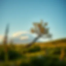 A serene landscape symbolizing personal growth