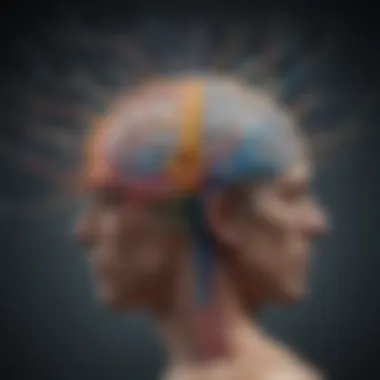 Evolution of Neural Pathways in the Brain Illustration depicting intricate neural pathways in the brain