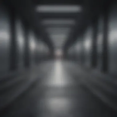 Pathways to Understanding