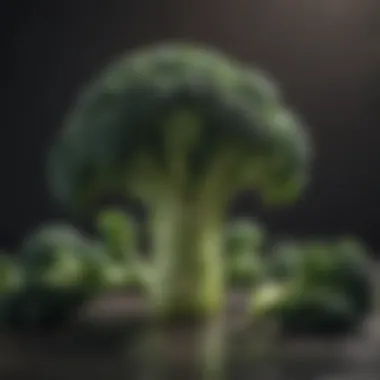 Cruciferous Superfood - Broccoli Freshly cut broccoli florets