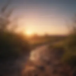 A serene landscape with a sunrise symbolizing new beginnings.