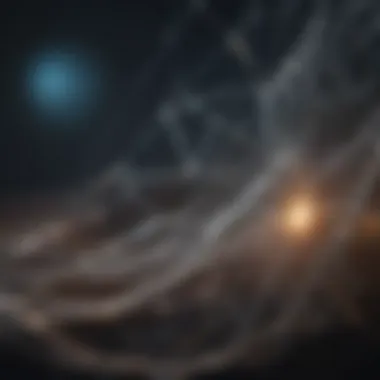 An intricate web symbolizing connections and influence