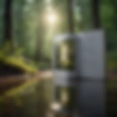 Inspirational Quote Reflecting in Nature Reflection in Nature
