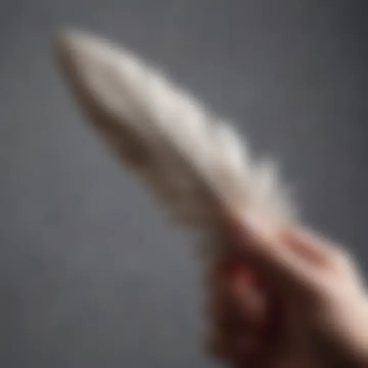 A close-up of a hand holding a fragile feather, symbolizing hope and transformation.