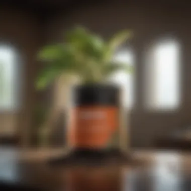Revitalizing Plant Paradox Supplements Revitalizing Plant Paradox Supplements